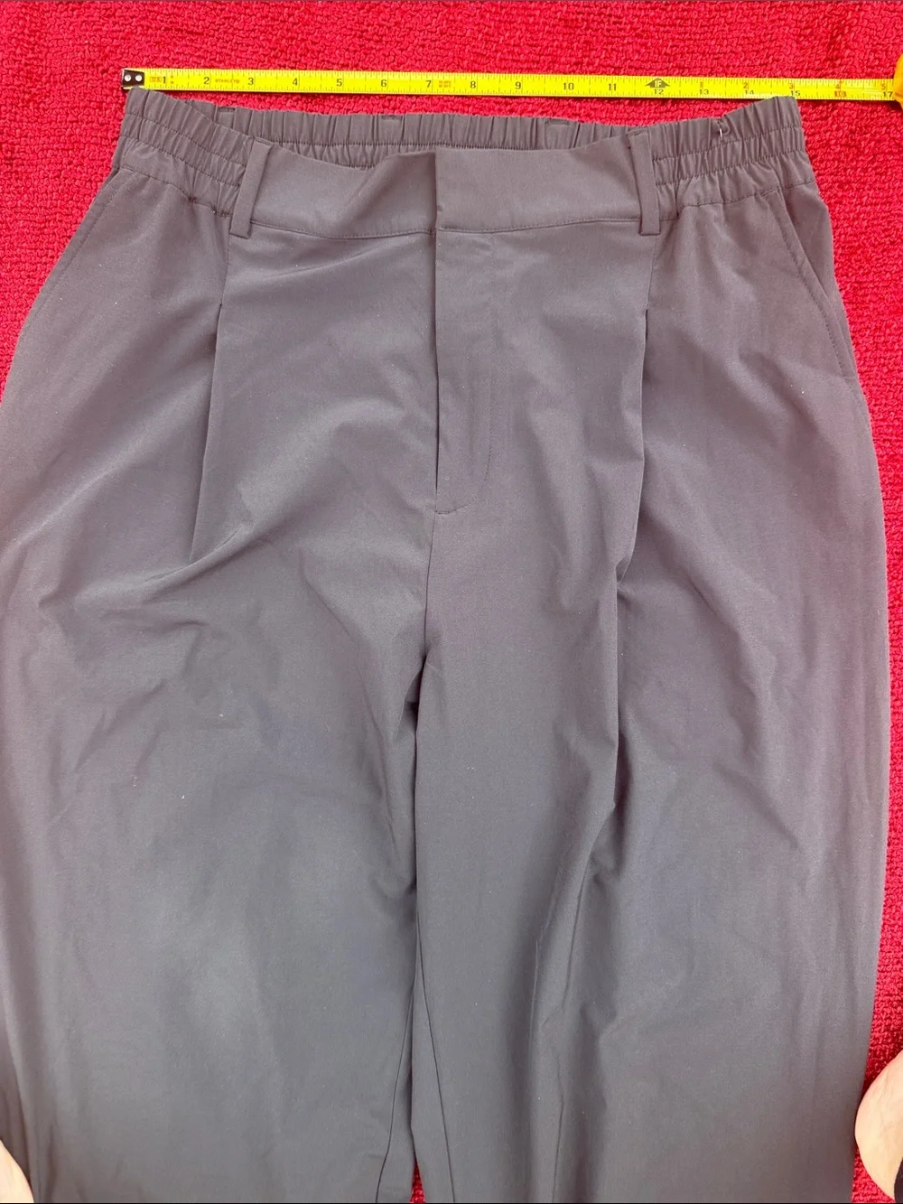 ALO Wide Leg Pants